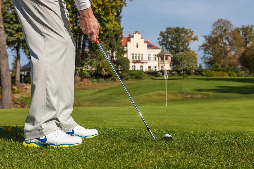 Palac Brzezno & Golf Bed and breakfast Oborniki Śląskie